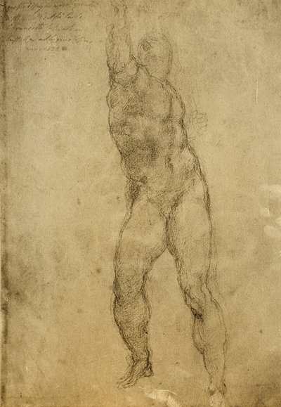 Estudio de desnudo, dibujo de Miguel Ángel. Gallerie dell