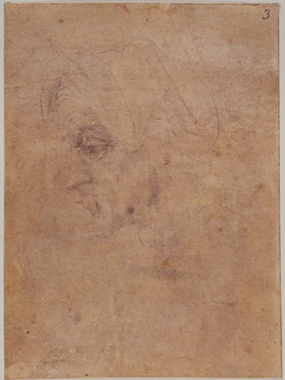 Perfil de una anciana de Michelangelo Buonarroti