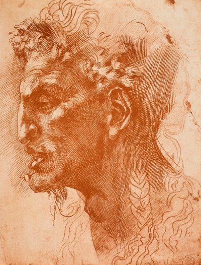 Cabeza de sátiro; dibujo de Miguel Ángel. El Louvre, París de Michelangelo Buonarroti