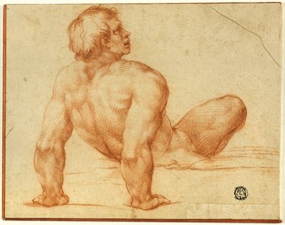 Desnudo masculino sentado de Michelangelo Buonarroti