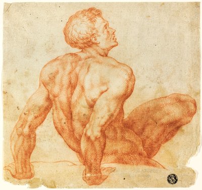 Desnudo masculino sentado de Michelangelo Buonarroti