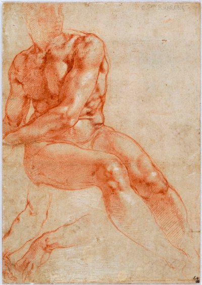 Joven desnudo masculino sentado y dos estudios de brazo, ca 1510-1511 de Michelangelo Buonarroti