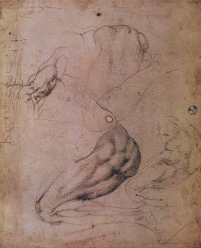 Techo de la Capilla Sixtina (1508-12): bocetos de la figura de Eva de la escena del Pecado Original de Michelangelo Buonarroti