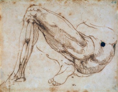 Estudio de una pierna de Michelangelo Buonarroti