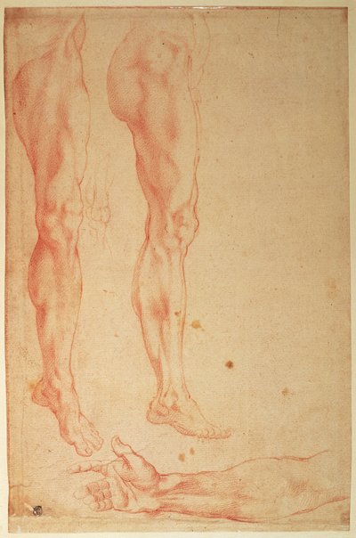 Estudios de piernas y brazos de Michelangelo Buonarroti