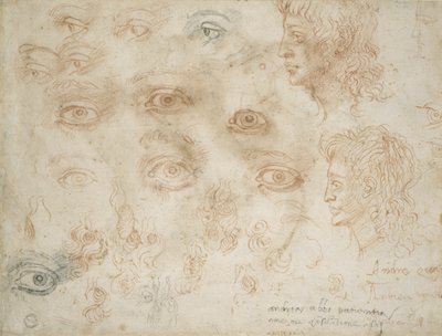 Estudios de Dos Cabezas, c.1525 de Michelangelo Buonarroti