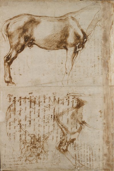 Estudios de un caballo y de un jinete atacando a soldados de infantería, principios del siglo XVI de Michelangelo Buonarroti