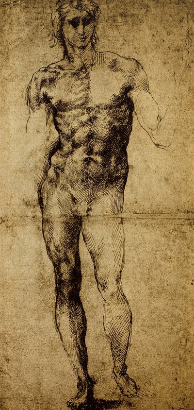 Estudio para un desnudo masculino, Miguel Ángel Buonarroti (1475-1564), dibujo, París, Museo del Louvre de Michelangelo Buonarroti