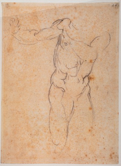 Estudio para el Adán de la "Expulsión de Pardiso" en la Capilla Sixtina de Michelangelo Buonarroti
