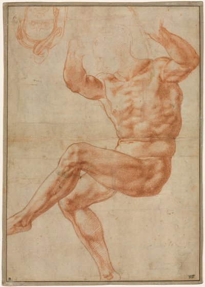 Estudio para el joven desnudo sobre el profeta Daniel (detalle), 1510-1511 de Michelangelo Buonarroti
