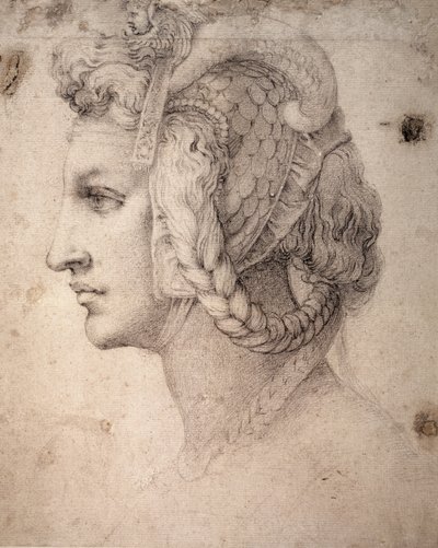 Estudio de Cabeza de Michelangelo Buonarroti