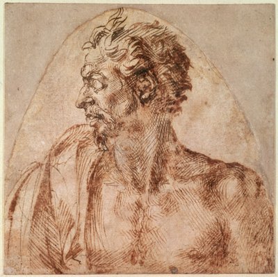 Estudio de cabeza y hombros de Michelangelo Buonarroti