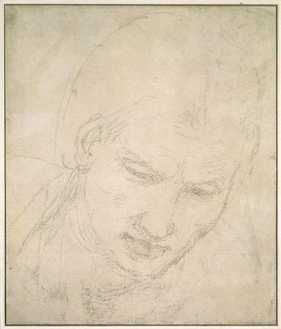 Estudio de una Cabeza de Michelangelo Buonarroti