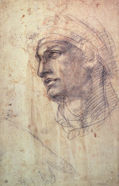Estudio de una cabeza de Michelangelo Buonarroti