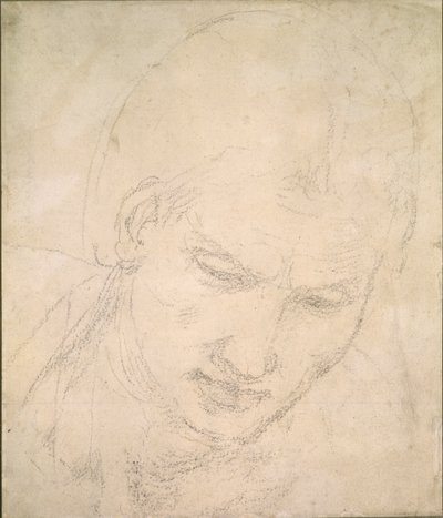 Estudio de una cabeza de Michelangelo Buonarroti