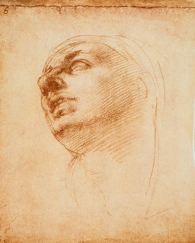 Estudio de un rostro de Michelangelo Buonarroti