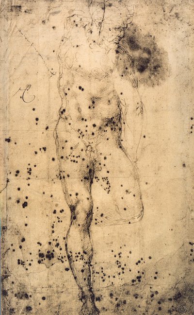 Estudio de un desnudo masculino con pierna izquierda levantada; dibujo de Miguel Ángel. Museo del Louvre, París de Michelangelo Buonarroti