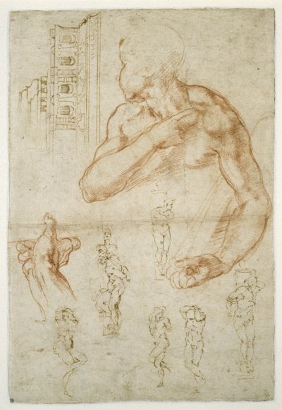 Estudio de la Figura Asistente de la Sibila Libia, c.1512 de Michelangelo Buonarroti