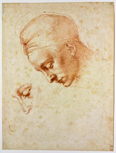 Estudio para la cabeza de Leda de Michelangelo Buonarroti