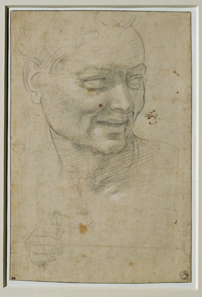 Cabeza y mano derecha del ignudo encima y a la izquierda de Isaías, en la bóveda de la Capella Sistina ... de Michelangelo Buonarroti