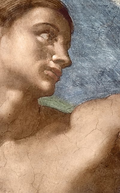 La Creación de Adán, (detalle) de la cabeza de Adán de Michelangelo Buonarroti