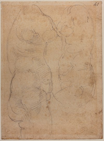 Dos estudios sobre una antigua Venus de Michelangelo Buonarroti