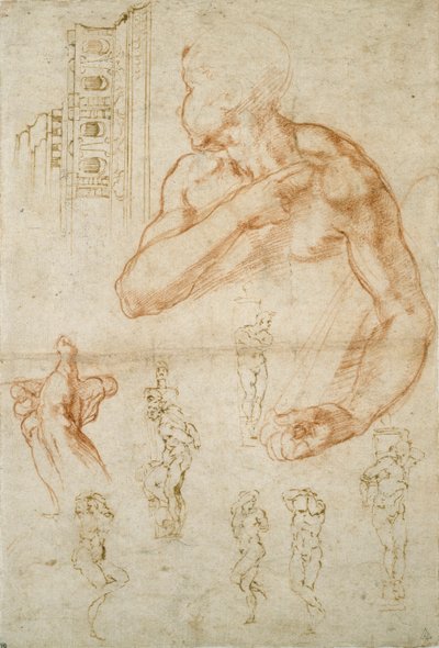 Varios estudios para el techo de la Capilla Sixtina y la tumba del Papa Julio II de Michelangelo Buonarroti