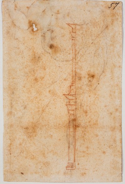 Perfil de la pared de Michelangelo Buonarroti