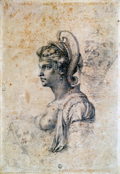 Zenobia de Michelangelo Buonarroti