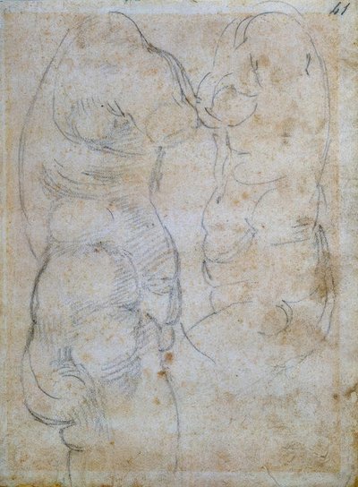 Dos estudios de un torso femenino antiguo de Michelangelo Buonarroti