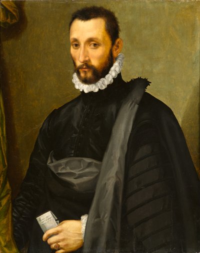 Retrato de un caballero, 1575 de Michele di Ridolfo Tosini