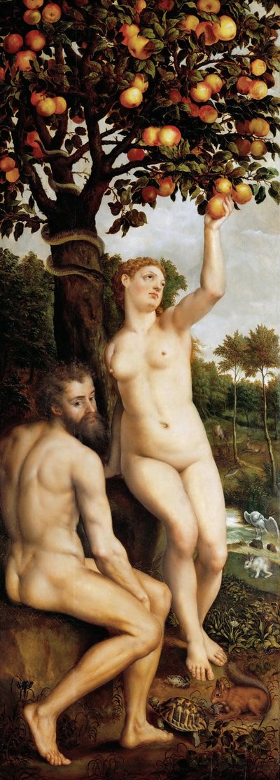 La caída del hombre de Michiel I Coxie or Coxcie