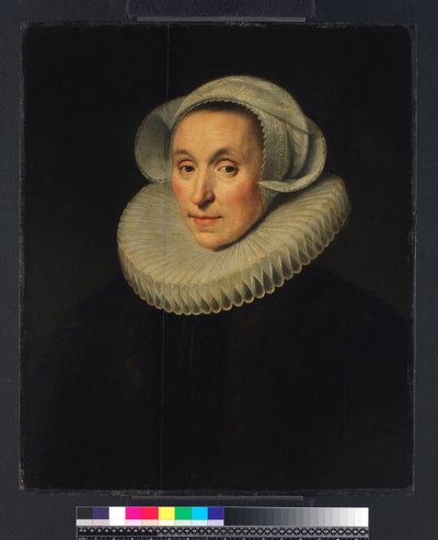 Retrato de una dama de Michiel Jansz. van Miereveld