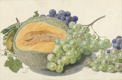 Un melón, racimos de uvas, un melocotón y avellanas de Michiel Van Huysum