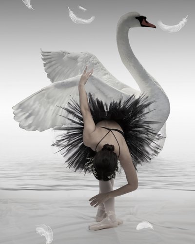 La bailarina del cisne negro de Mieke