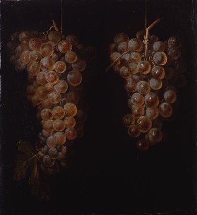 Racimos de uvas de Miguel de Pret