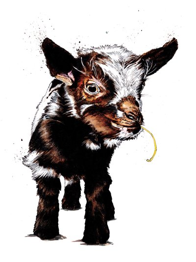 Cabrito sobre blanco, 2020 de Mike Davis