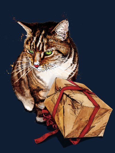 Gato de cumpleaños en azul noche, 2020 de Mike Davis