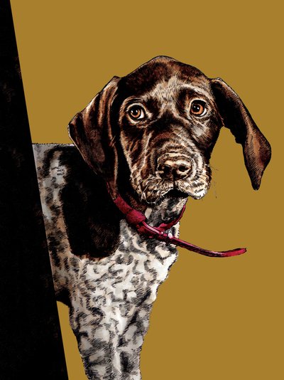 Bye Bye Puppy en Golden Yellow, 2020 de Mike Davis