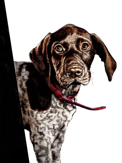 Bye Bye Puppy en blanco, 2020 de Mike Davis