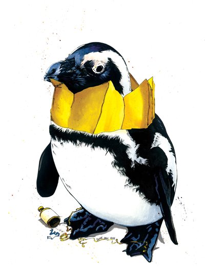 Pingüino de Navidad sobre blanco, 2020 de Mike Davis