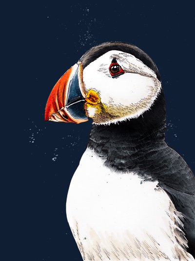 Clive The Puffin en Midnight Blue, 2020 de Mike Davis
