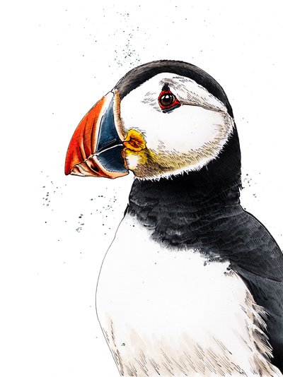 Clive The Puffin en Blanco, 2019 de Mike Davis