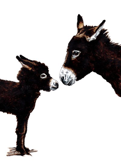 Burro madre y bebé sobre blanco, 2020 de Mike Davis