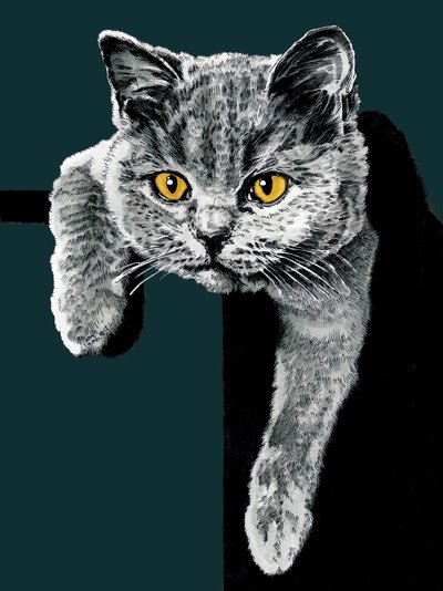 Flora The Kitten en Deep Cyan, 2020 de Mike Davis
