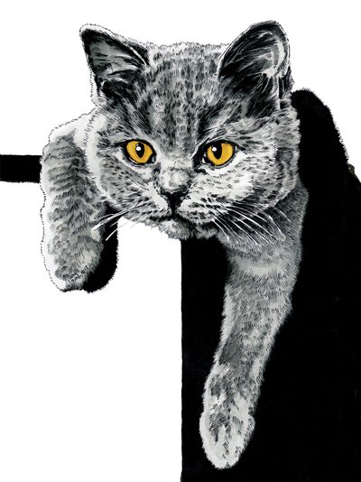Flora La Gatita en Blanco, 2019 de Mike Davis