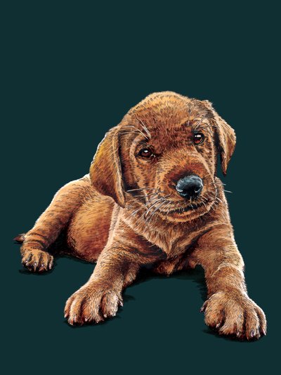 Marge The Puppy en Deep Cyan, 2021 de Mike Davis