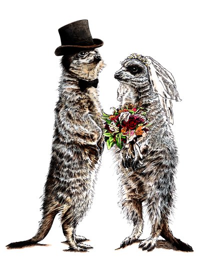 Meerkats casados en Blanco, 2020 de Mike Davis