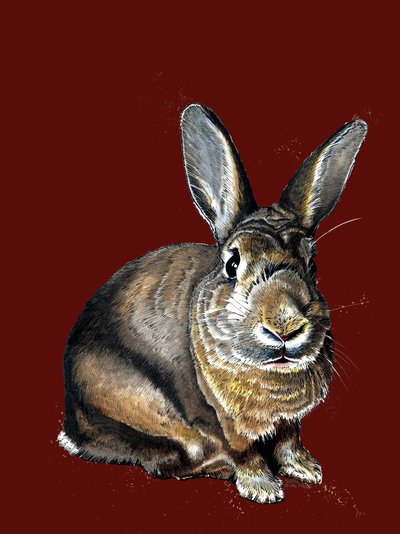 Meg The Bunny en óxido rojo, 2020 de Mike Davis