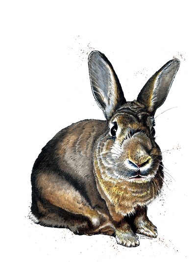 Meg The Bunny en Blanco, 2019 de Mike Davis